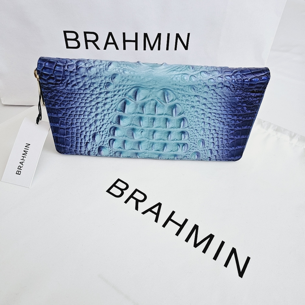 NWT Brahmin Affinity Ombre Melbourne Skyler Clutch - Picture 12 of 16